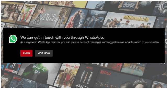 Netflix WhatsApp for Business