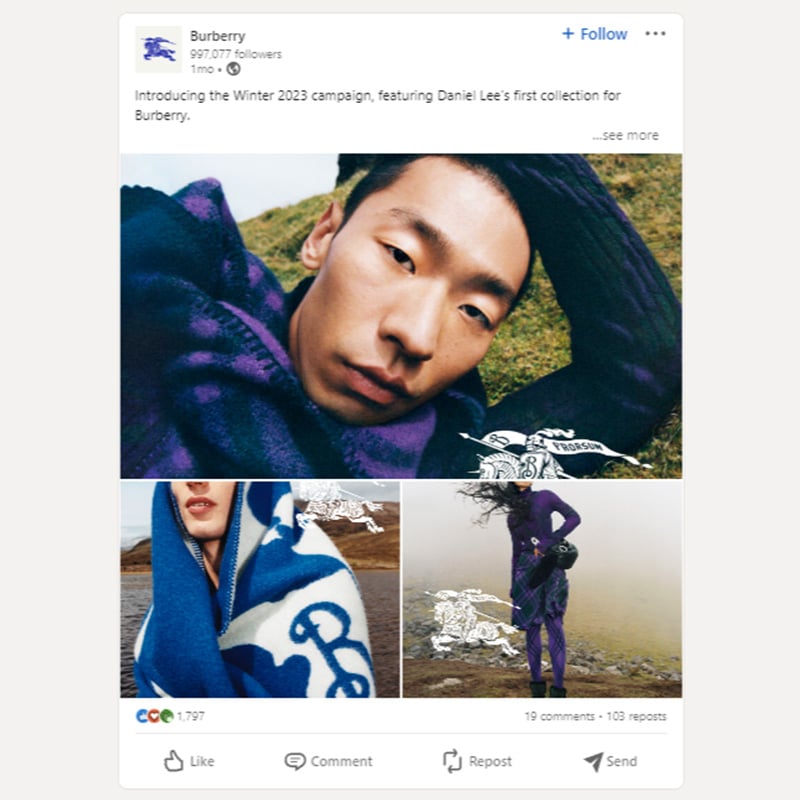 burberry-linkedin-b2c